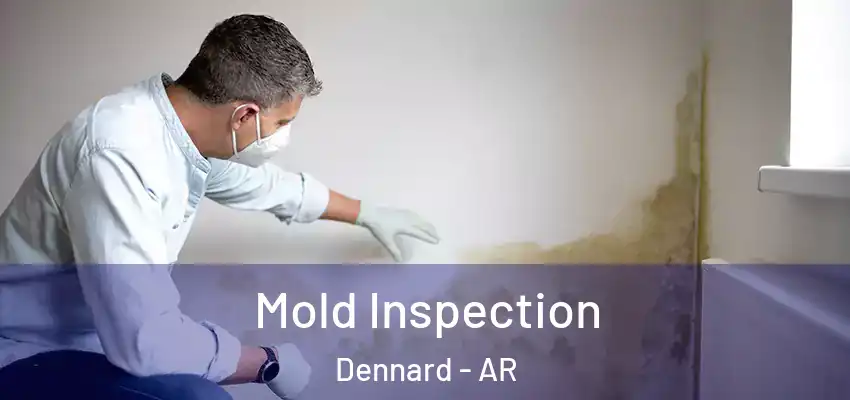  Mold Inspection Dennard - AR
