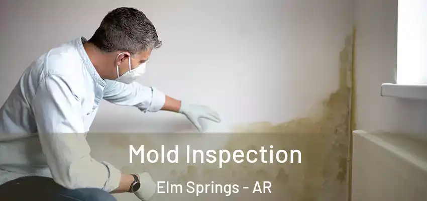 Mold Inspection Elm Springs - AR