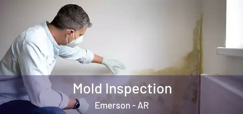  Mold Inspection Emerson - AR