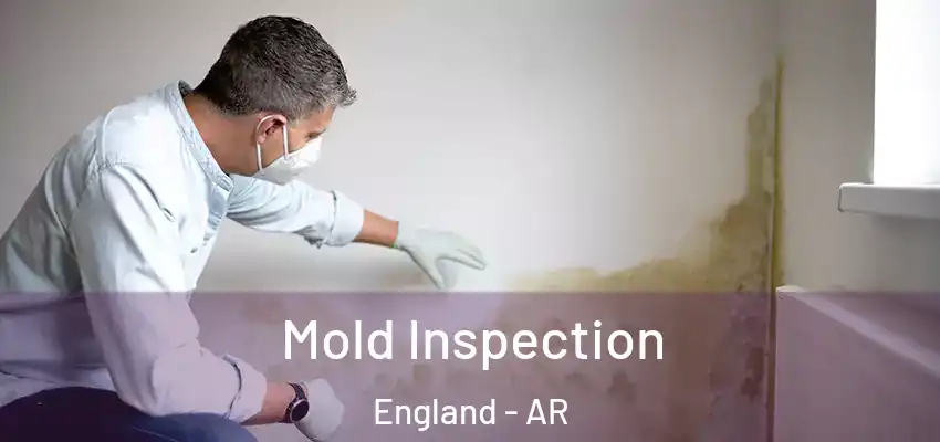  Mold Inspection England - AR