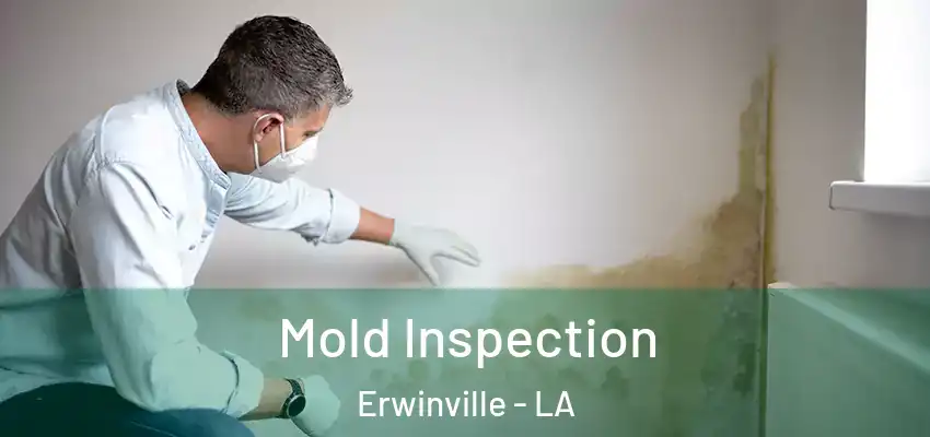  Mold Inspection Erwinville - LA