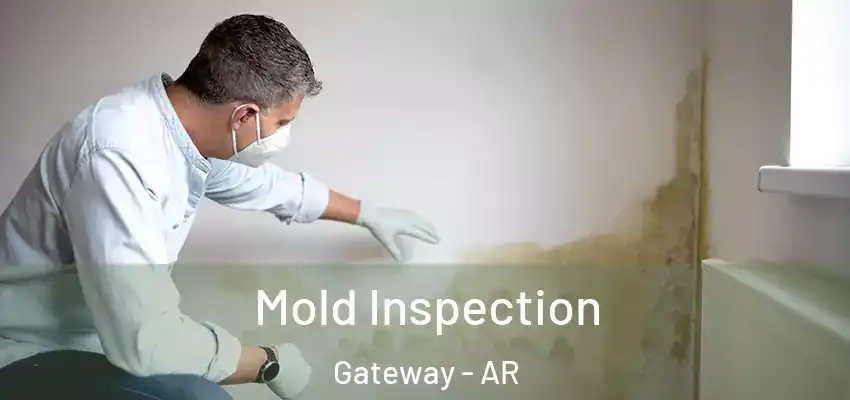 Mold Inspection Gateway - AR