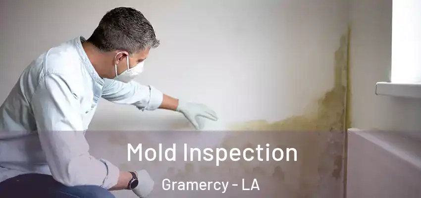  Mold Inspection Gramercy - LA
