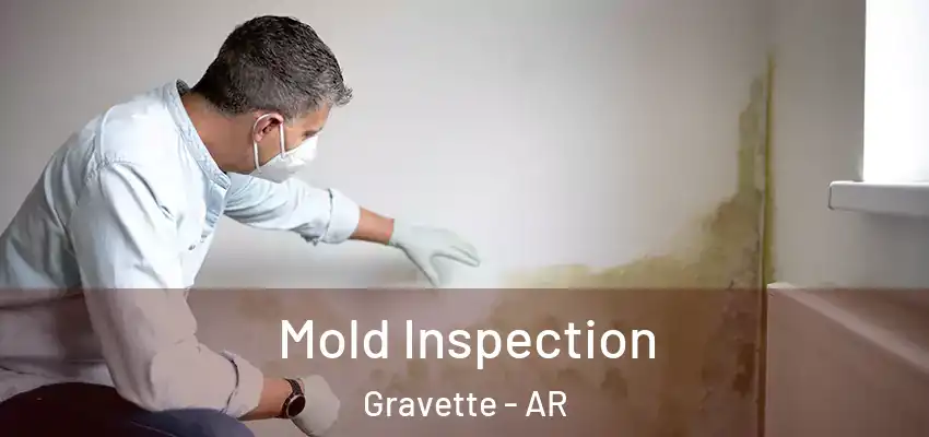 Mold Inspection Gravette - AR