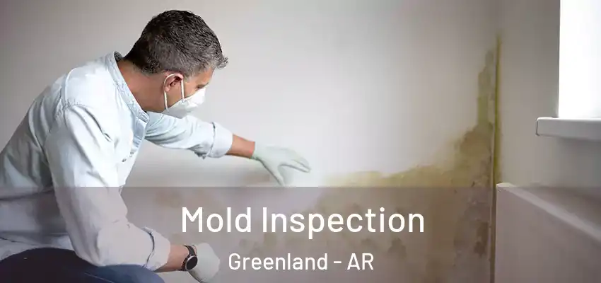  Mold Inspection Greenland - AR