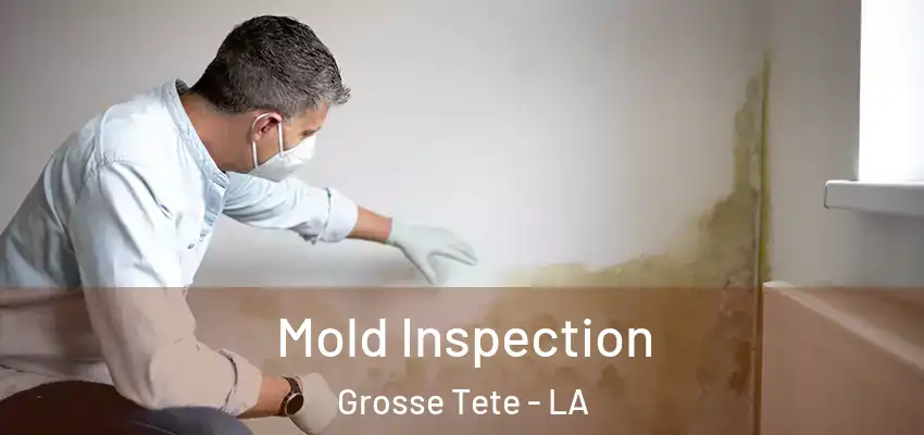  Mold Inspection Grosse Tete - LA