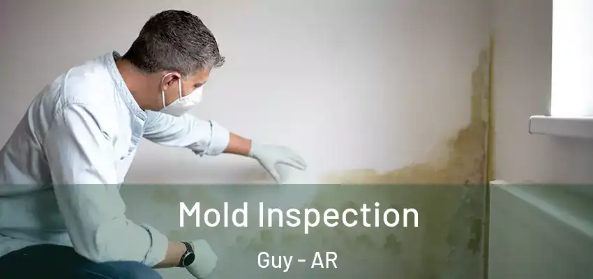 Mold Inspection Guy - AR