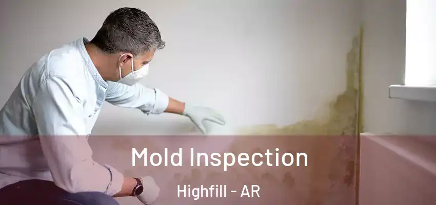 Mold Inspection Highfill - AR