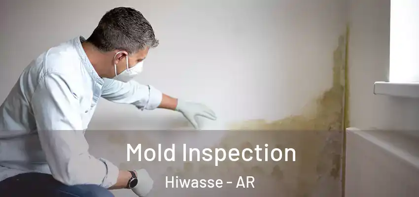  Mold Inspection Hiwasse - AR
