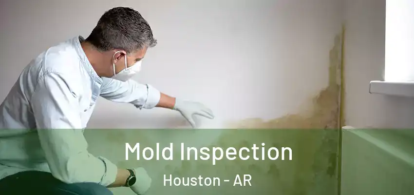  Mold Inspection Houston - AR