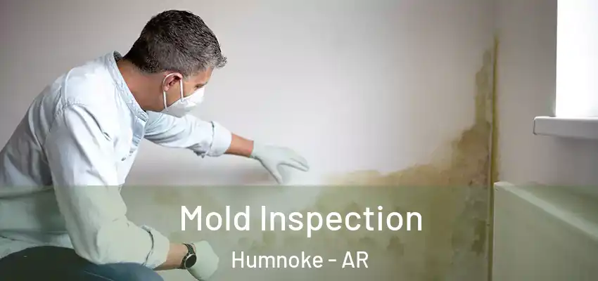  Mold Inspection Humnoke - AR
