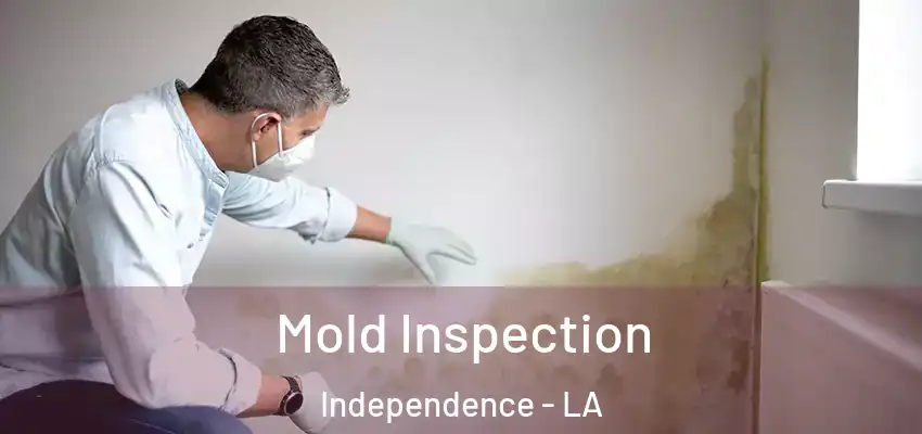  Mold Inspection Independence - LA