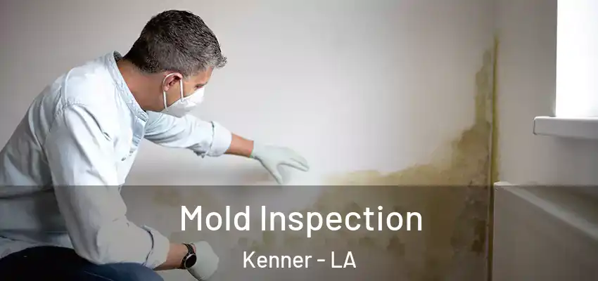  Mold Inspection Kenner - LA