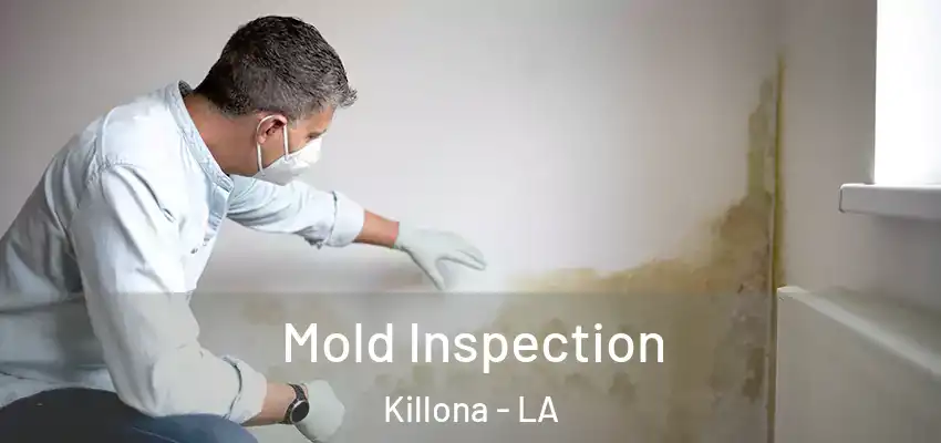  Mold Inspection Killona - LA