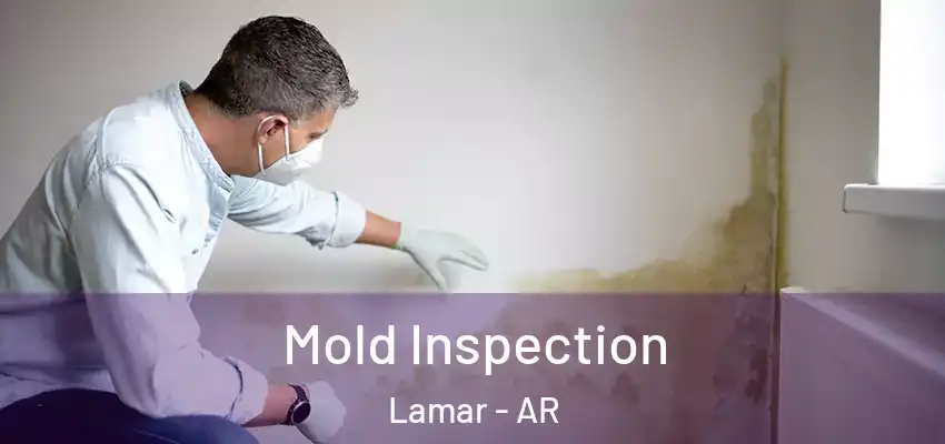  Mold Inspection Lamar - AR