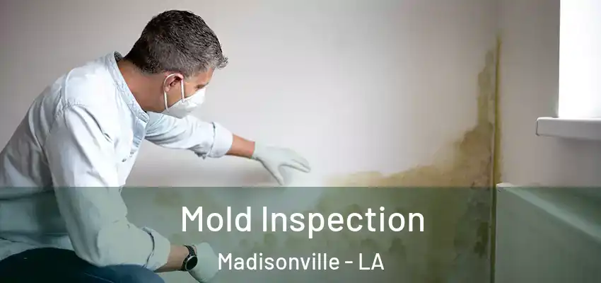  Mold Inspection Madisonville - LA