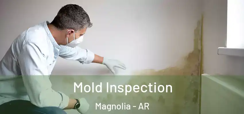  Mold Inspection Magnolia - AR