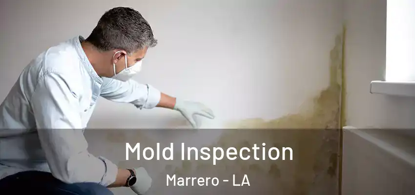  Mold Inspection Marrero - LA