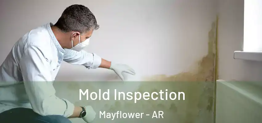  Mold Inspection Mayflower - AR