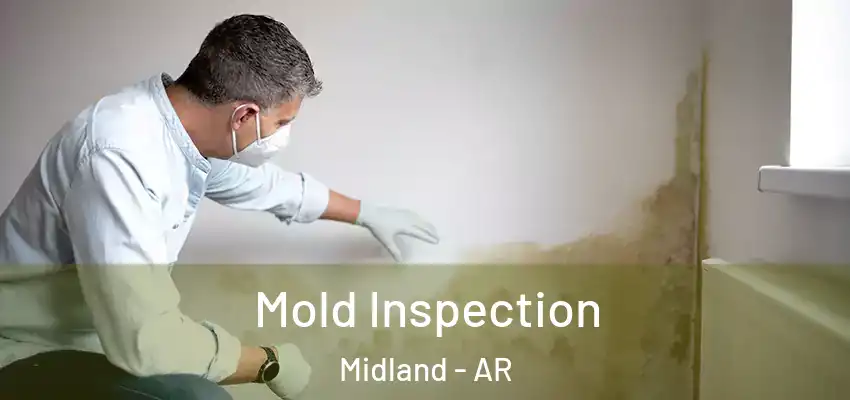  Mold Inspection Midland - AR