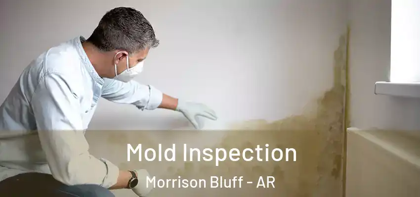  Mold Inspection Morrison Bluff - AR
