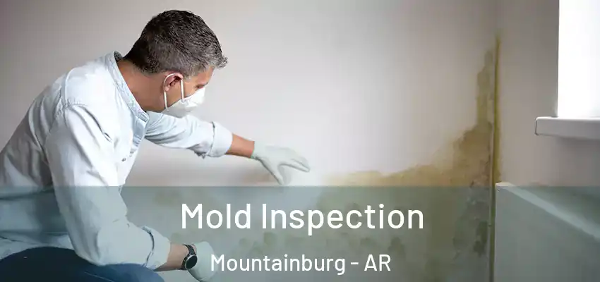  Mold Inspection Mountainburg - AR