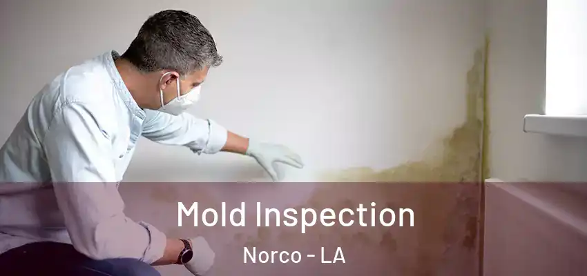 Mold Inspection Norco - LA