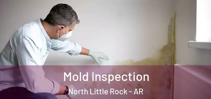  Mold Inspection North Little Rock - AR