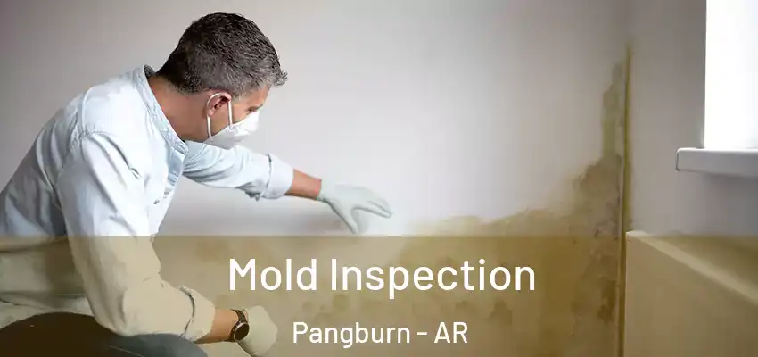  Mold Inspection Pangburn - AR