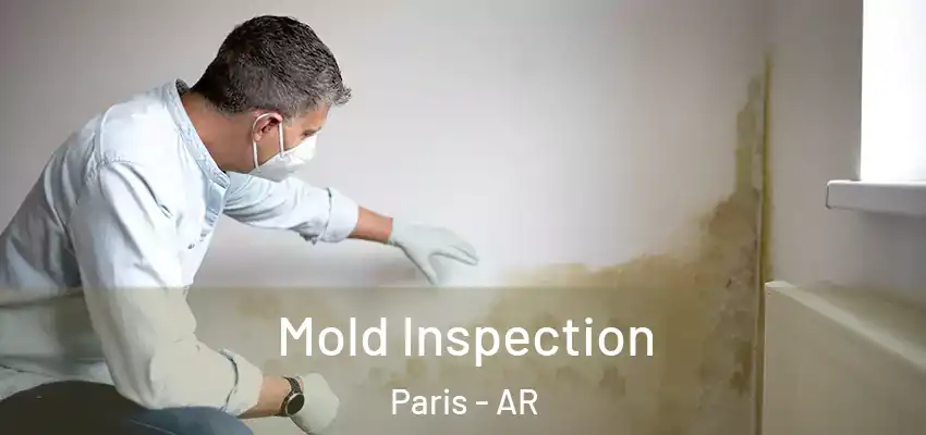  Mold Inspection Paris - AR