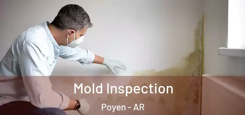  Mold Inspection Poyen - AR