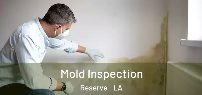  Mold Inspection Reserve - LA