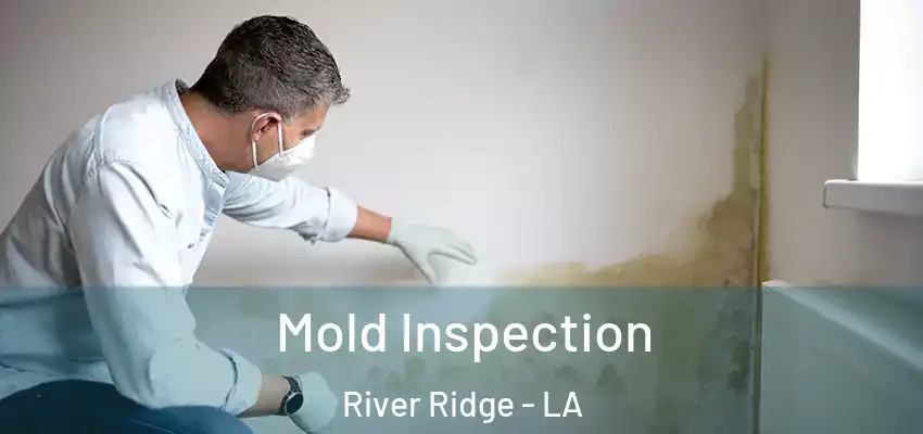  Mold Inspection River Ridge - LA