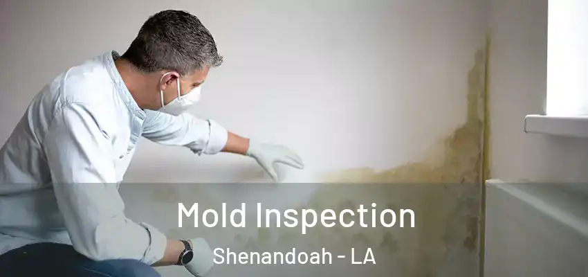  Mold Inspection Shenandoah - LA