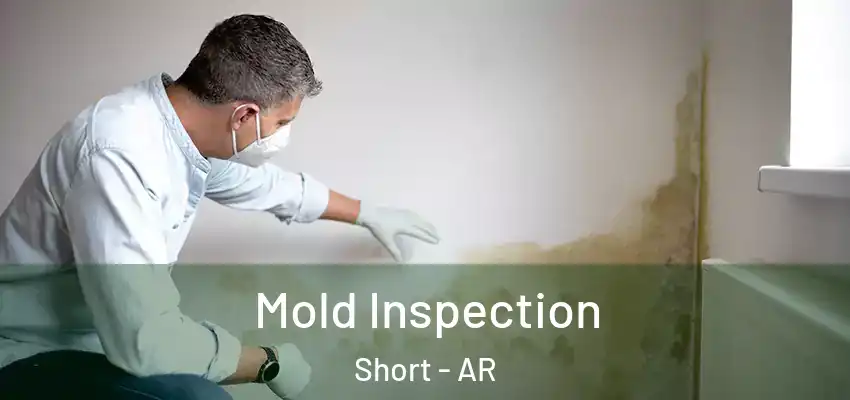  Mold Inspection Short - AR