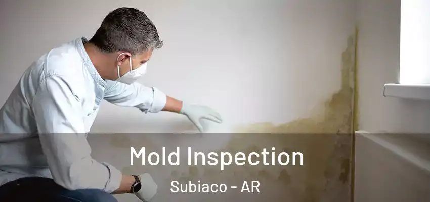  Mold Inspection Subiaco - AR
