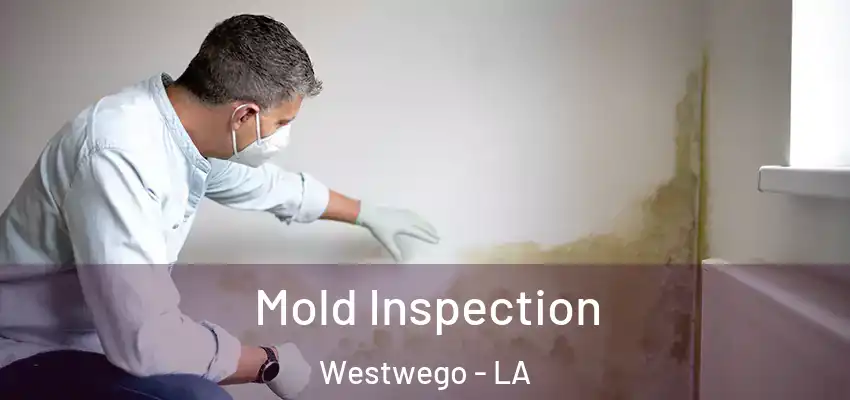 Mold Inspection Westwego - LA