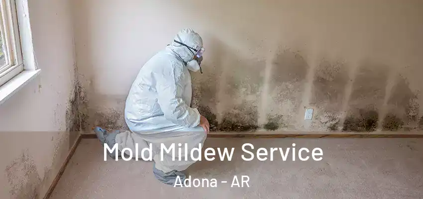 Mold Mildew Service Adona - AR