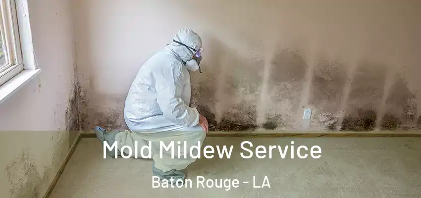 Mold Mildew Service Baton Rouge - LA