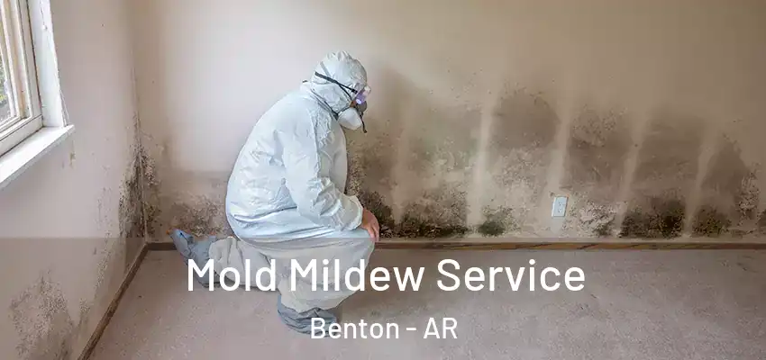  Mold Mildew Service Benton - AR