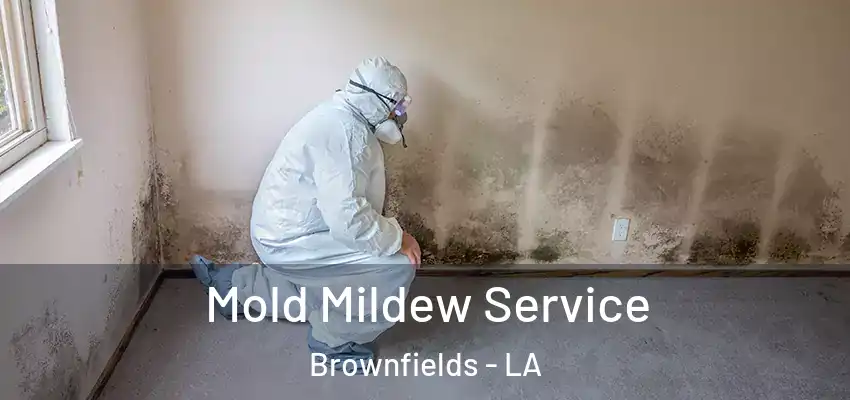  Mold Mildew Service Brownfields - LA