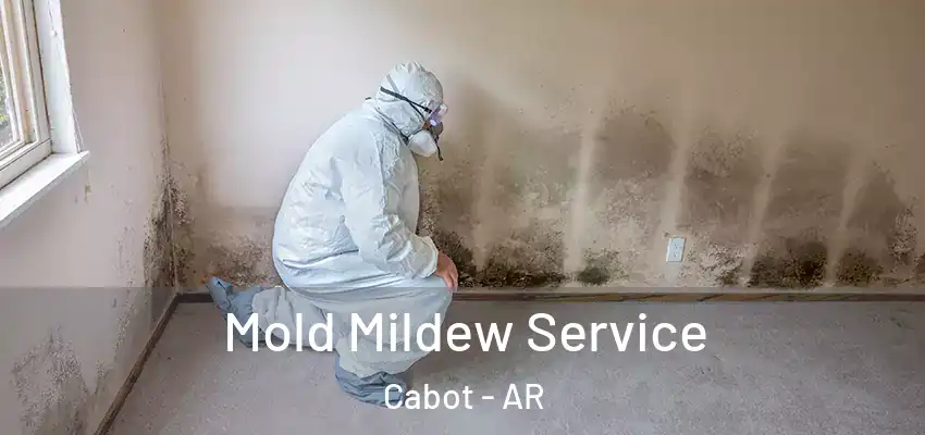 Mold Mildew Service Cabot - AR