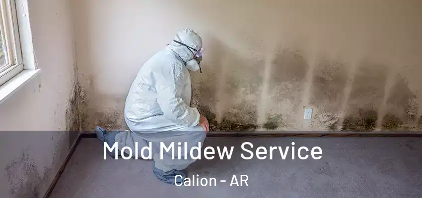  Mold Mildew Service Calion - AR