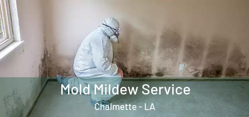  Mold Mildew Service Chalmette - LA