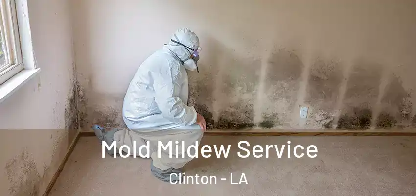  Mold Mildew Service Clinton - LA
