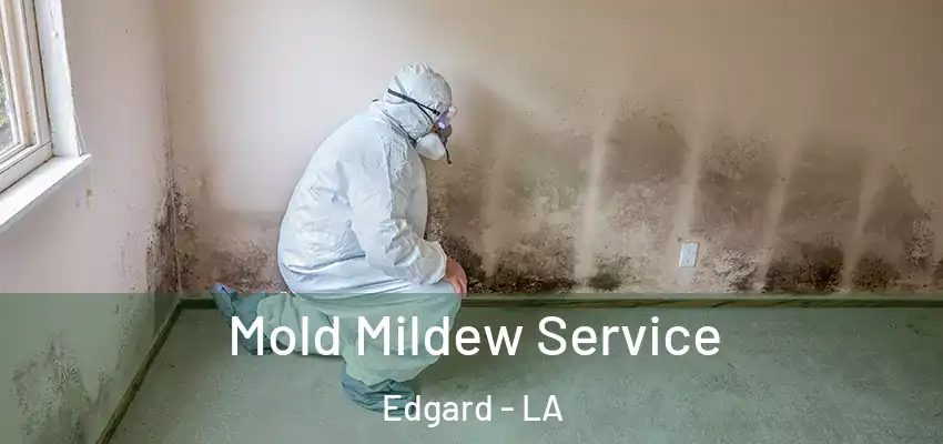  Mold Mildew Service Edgard - LA