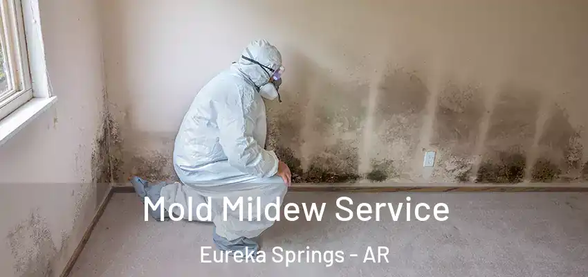  Mold Mildew Service Eureka Springs - AR