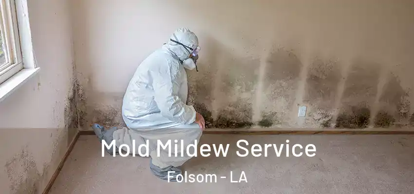 Mold Mildew Service Folsom - LA