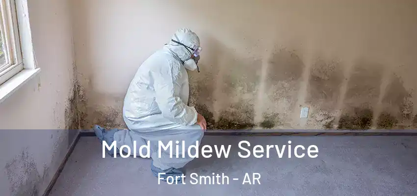  Mold Mildew Service Fort Smith - AR