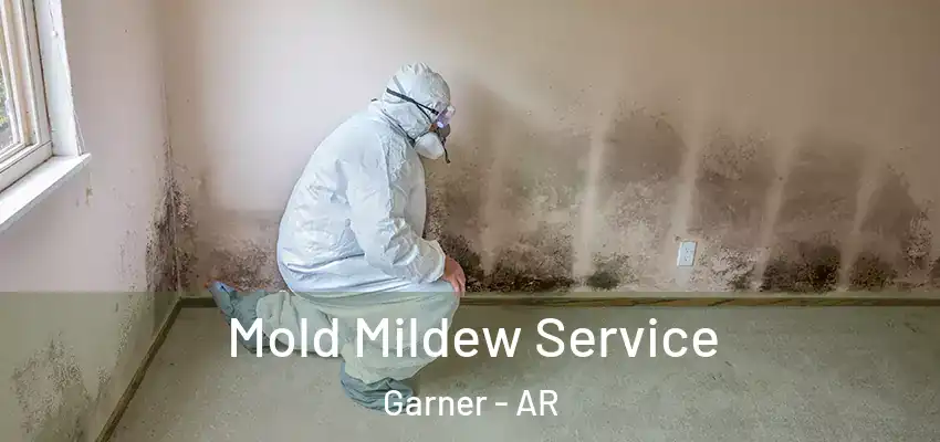  Mold Mildew Service Garner - AR